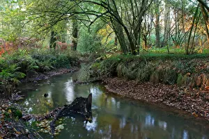 Beek, Stream