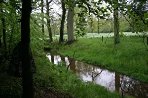 Mai Drucke: Bach, Fluss