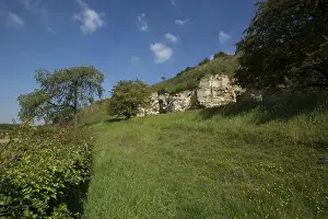 Bemelerberg