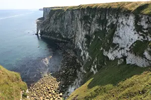 Yorkshire Wildlife Reserve Drucke: Bempton Cliffs