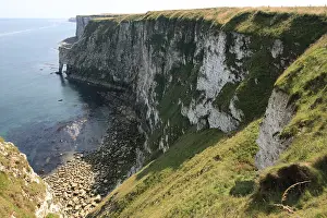 British Coast Scenery Drucke: Bempton Clifs