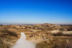 Dune Landscape Netherlands Drucke: Berkheide