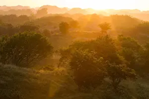 Juni Drucke: Berkheide