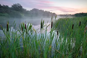 Netherlands Landscape Photo Drucke: Berkheide