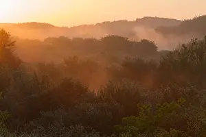 Juni Drucke: Berkheide