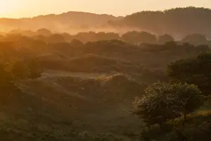 Juni Drucke: Berkheide