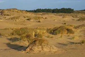 Berkheide