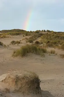 Berkheide