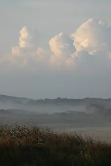 Netherlands Landscape Photography Drucke: Berkheide