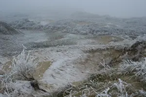 Dezember Drucke: Berkheide