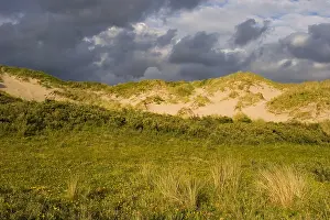 Juni Drucke: Berkheide