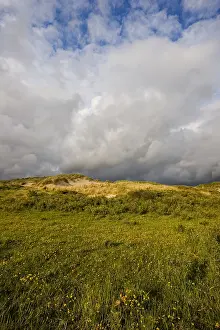 Juni Drucke: Berkheide