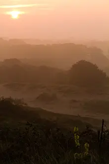 Berkheide, Berkheide