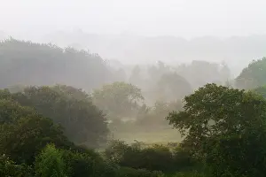 Berkheide, Berkheide