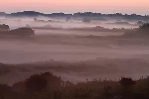 Netherlands Landscape Drucke: Berkheide, Berkheide