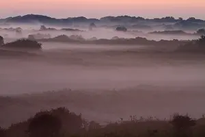 Netherlands Landscape Photography Drucke: Berkheide, Berkheide