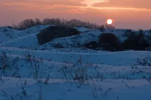 Netherlands Landscape Photography Drucke: Berkheide, Berkheide
