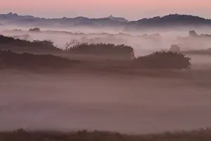Netherlands Landscape Photography Drucke: Berkheide, Berkheide