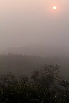 Netherlands Landscape Photography Drucke: Berkheide, Berkheide