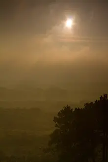 Netherlands Landscape Drucke: Berkheide, Berkheide