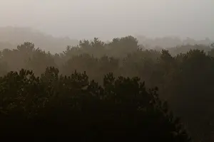 Netherlands Landscape Photography Drucke: Berkheide, Berkheide
