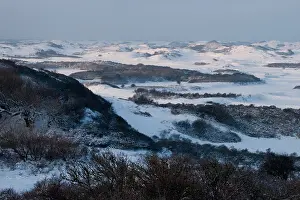 Netherlands Landscape Photography Drucke: Berkheide, Berkheide