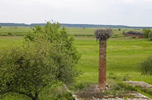 Poland National Park Drucke: Biebrza