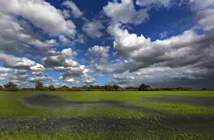 Bilder Datiert 13. September 2017: Biesbosch