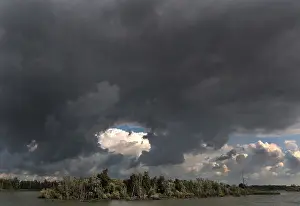 August Drucke: Biesbosch