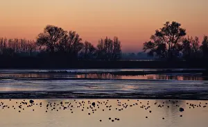 Bilder Datiert 29. November 2016: Biesbosch