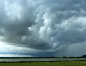Bilder Datiert 30. Juli 2015: Biesbosch