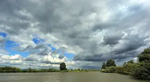 Bilder Datiert 29. Juli 2015: Biesbosch