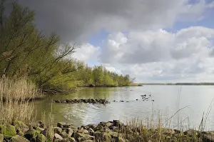 Netherlands Landscape Photography Drucke: Biesbosch
