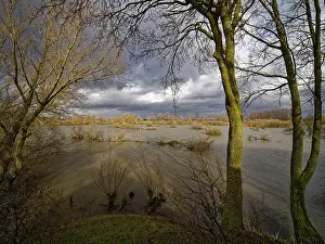 European Nature Views Drucke: Blauwe Kamer