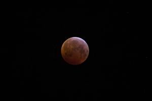 Blood Moon Eclipse Drucke: Blood Moon in total lunar eclipse, bloedmaan tijdens volledige maansverduistering