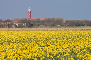 Blumenbeet