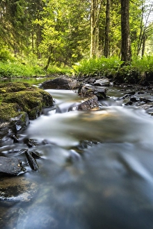 Eifel Landscape Drucke: Bos beek, Forest brook