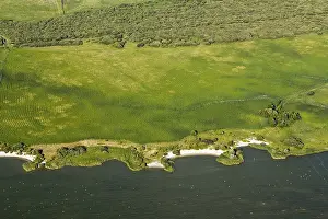 Aerial Photography Netherlands Drucke: Bos, Forest