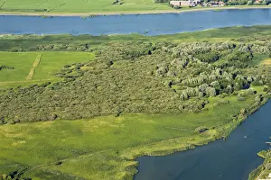Aerial Photography Netherlands Drucke: Bos, Forest