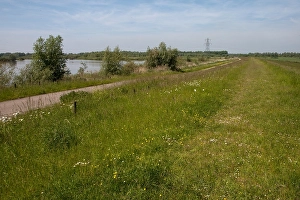 Bilder Datiert 5. Juni 2010: Brabantsche Biesbosch