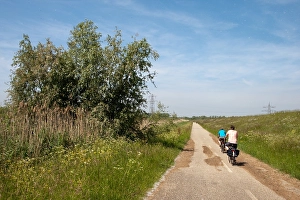 Bilder Datiert 5. Juni 2010: Brabantsche Biesbosch