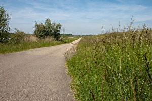 Bilder Datiert 5. Juni 2010: Brabantsche Biesbosch