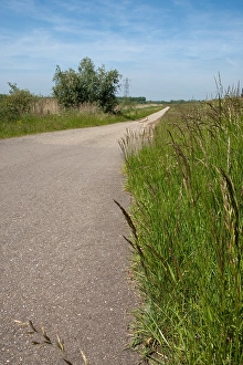 Bilder Datiert 5. Juni 2010: Brabantse Biesbosch