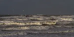 Bilder Datiert 7. Januar 2012: Marken, Brandung