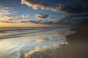 Sunset On The Sea Drucke: Breakers on the North Sea beach