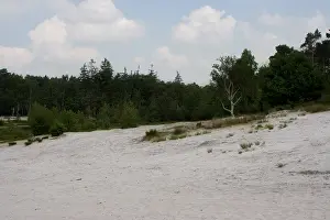 Netherlands Countryside Scenery Drucke: Brunssummer Heide, Netherlands