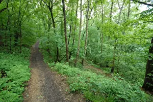Bilder Datiert 30. Mai 2010: Bunderbos, Bunderbos
