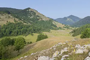European Landscapes Nature Drucke: Campolongo