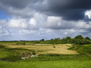 Netherlands Nature Reserve Drucke: Ceres at Texel