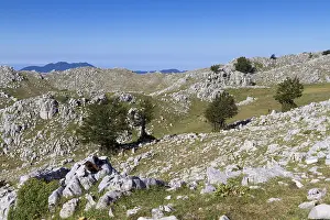Mountain Top Views Drucke: Cervati mount